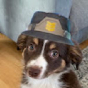 Meet your Posher, Senko